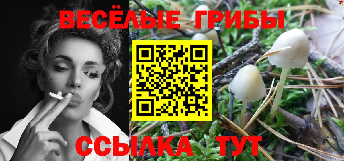 Галлюциногенные грибы мухоморы  Псилоцибиновые грибы Magic Shrooms  Острогожск  Вход с VPN 